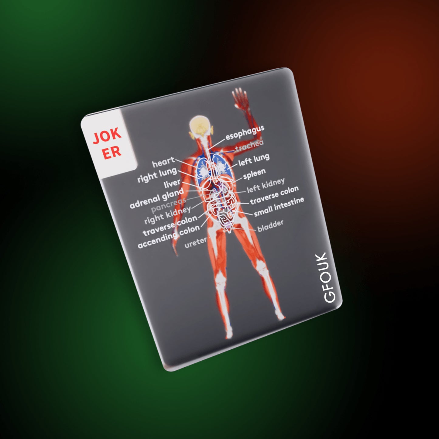 GFOUK® The Body Deck