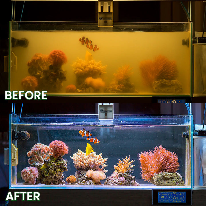 GFOUK® Powerful Aquarium Water Purification Tablet