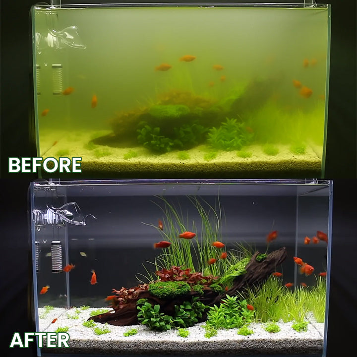 GFOUK® Powerful Aquarium Water Purification Tablet