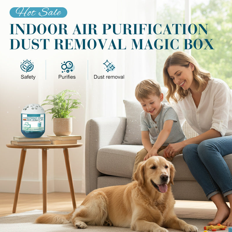 🔥 Limited-Time Pre-Sale⏰Daphtora® Indoor Air Purification Dust Removal Magic Box🏠🌿 (upsell)