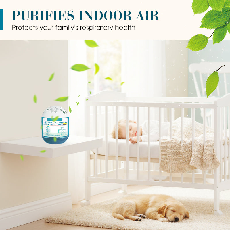 🔥 Limited-Time Pre-Sale⏰Daphtora® Indoor Air Purification Dust Removal Magic Box🏠🌿 (upsell)