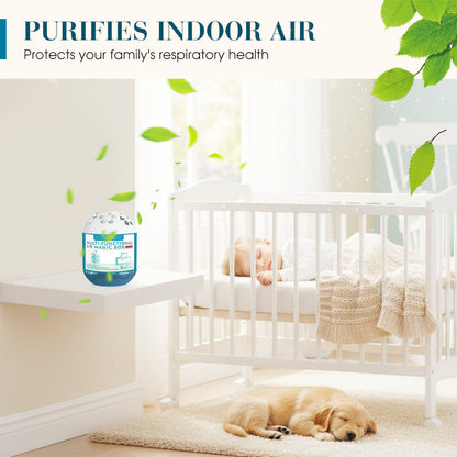 🔥 Limited-Time Pre-Sale⏰Daphtora® Indoor Air Purification Dust Removal Magic Box🏠🌿 (upsell)